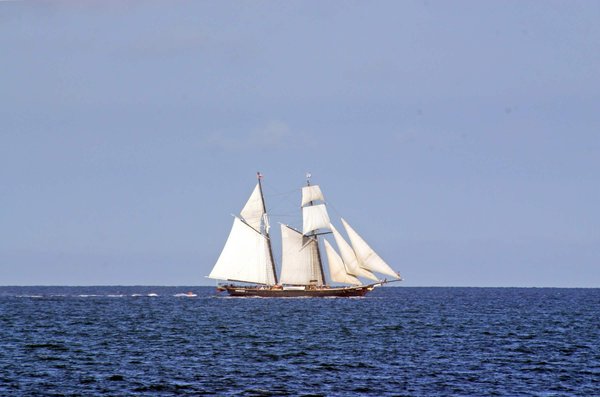 Quels sont les avantages des voiles en fibre de carbone pour les voiliers de compétition?